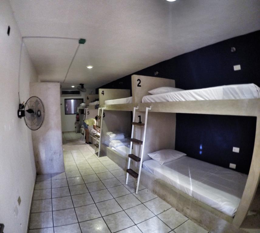 Lobo De Mar Hostel Playa del Carmen Kültér fotó