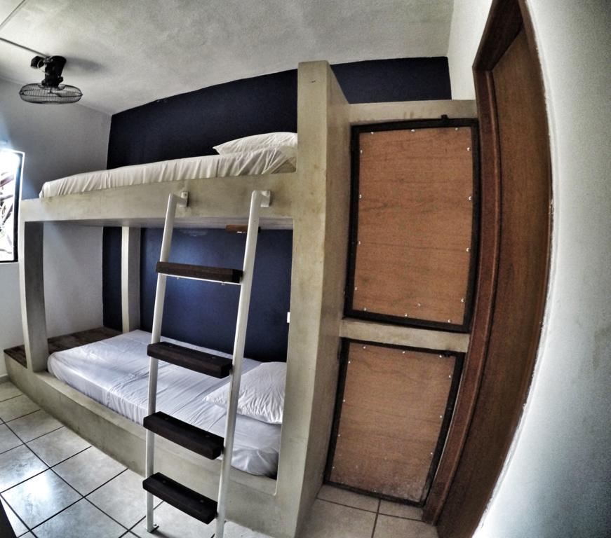 Lobo De Mar Hostel Playa del Carmen Kültér fotó