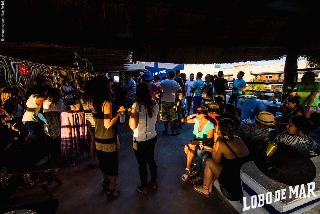 Lobo De Mar Hostel Playa del Carmen Kültér fotó