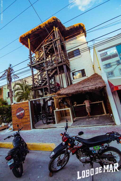 Lobo De Mar Hostel Playa del Carmen Kültér fotó